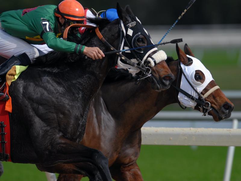horse racing