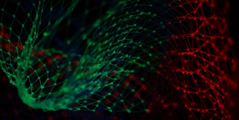 صحافة البيانات 